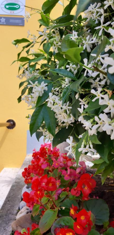 Mediterranean Concept House Otel La Spezia Dış mekan fotoğraf